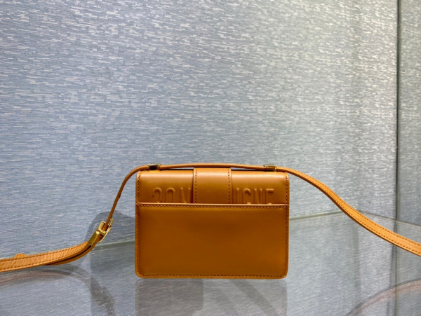 D*or 30 montaigne bag