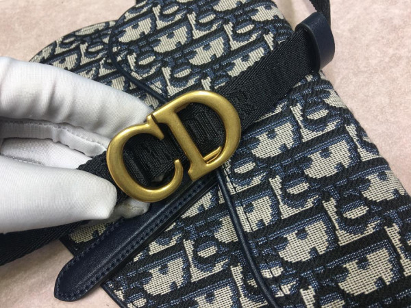 D*or oblique belt bag