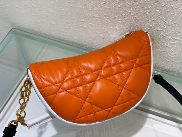 D*or small vibe hobo bag