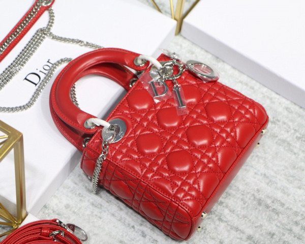 lady D*or mini with lambskin