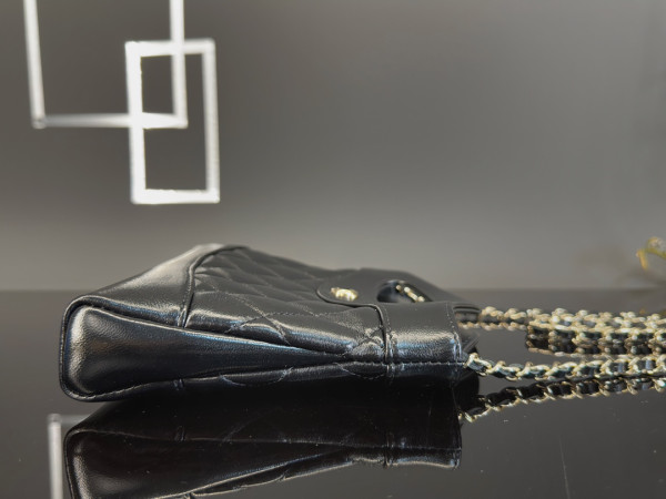 CL 24S 31bag nano -21*17*3.5cm