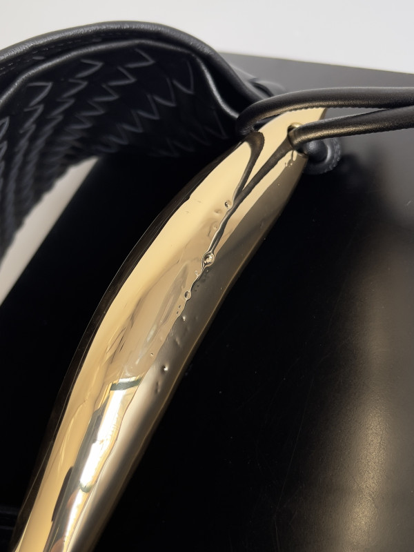 Bo*te*ga ve*ne*ta medium sardine